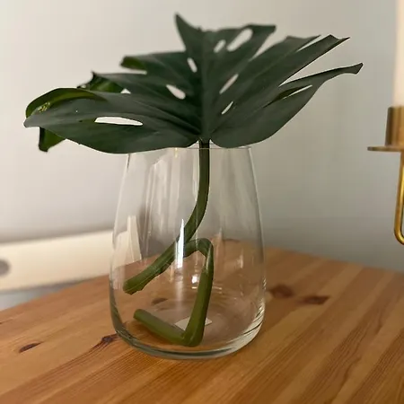 Apartamento Estudio Centrico Y Moderno En *