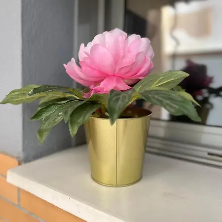 Rent4 Armengual Apartment Malaga